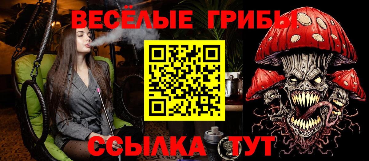Псилоцибиновые грибы Psilocybine cubensis  Вход с VPN  Майкоп  Псилоцибиновые грибы мицелий 